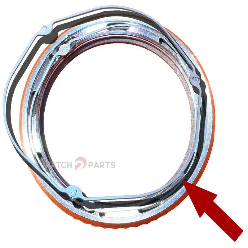 Watch Bezel Click Spring Parts - Luxury Watch Expensive avis et prix